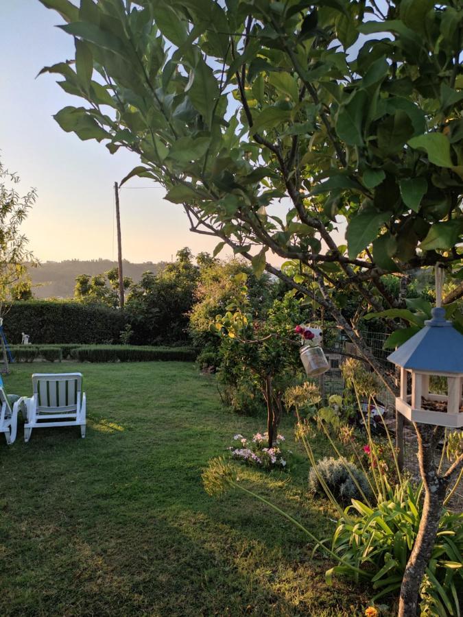 Nature Et Al House - Casa Para Uso Exclusivo E Jardim - Little Farm Баталья Экстерьер фото